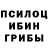 Галлюциногенные грибы Cubensis Anton Butejko