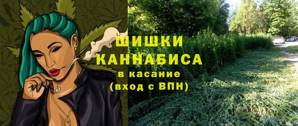 гидропоника Бородино